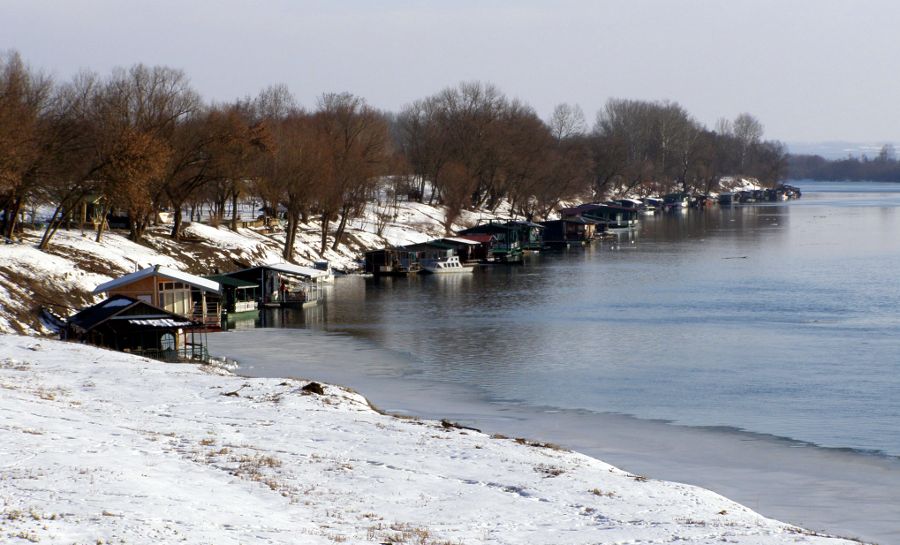 Zale�ena Sava 2012